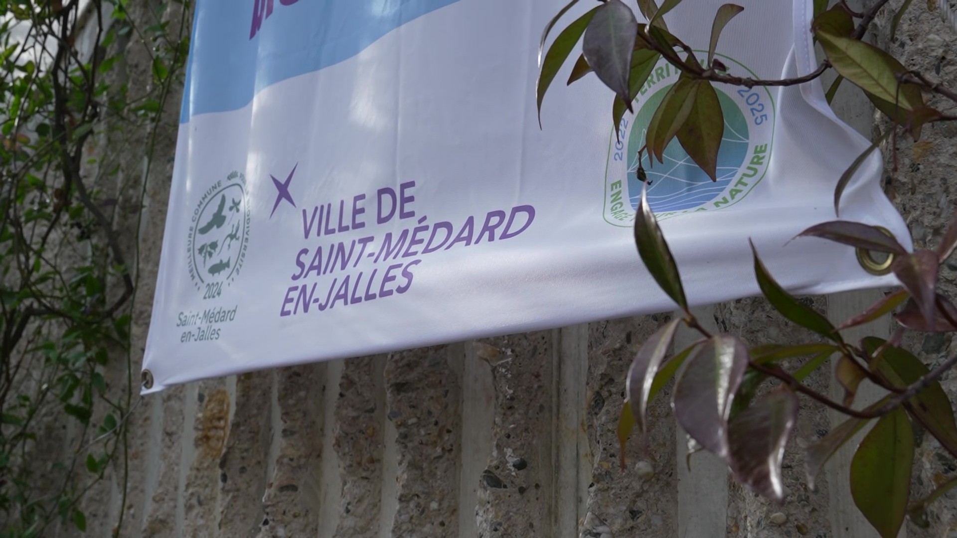 Saint-Médard-en-Jalles expérimente la végétalisation de façades et de toitures