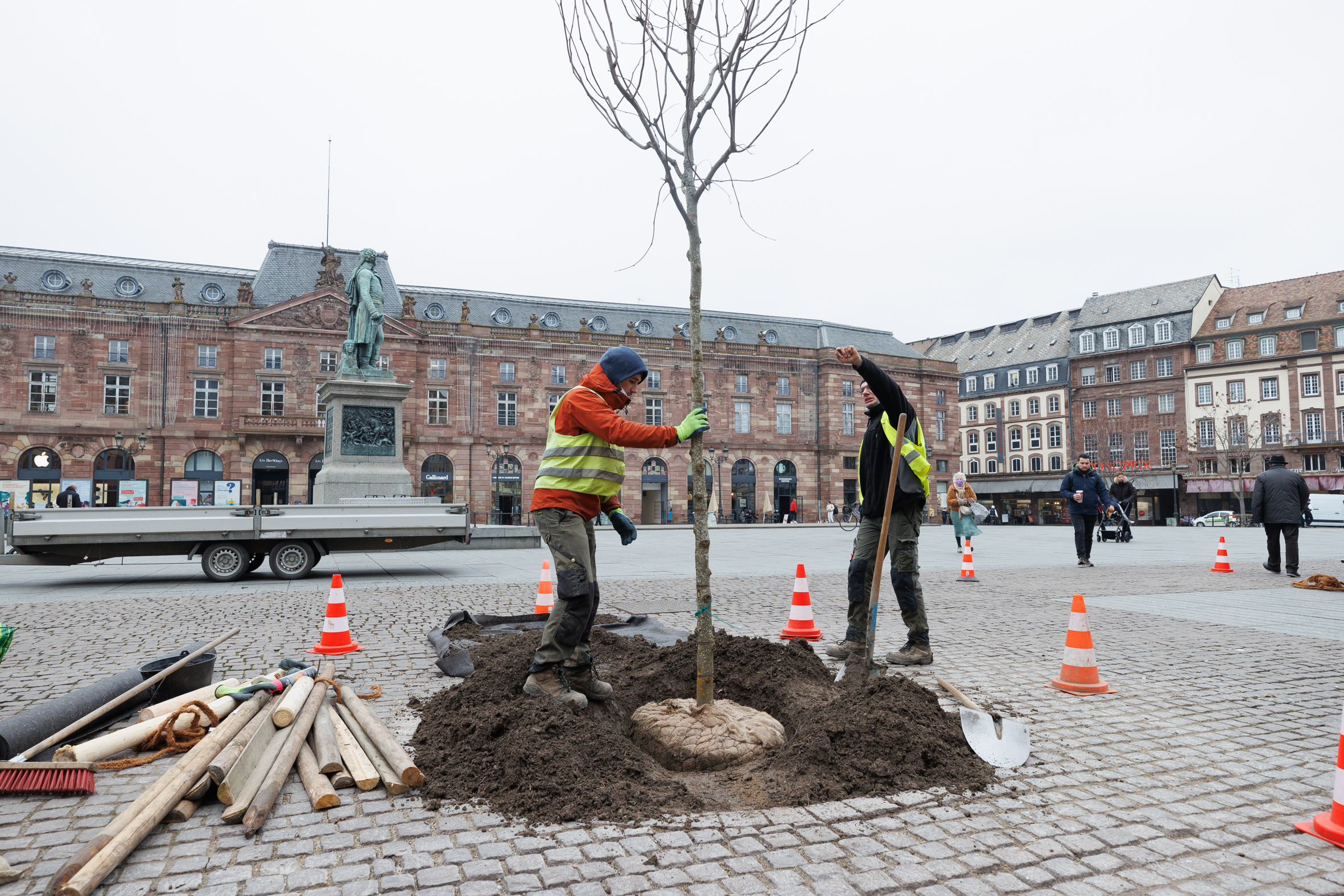 Strasbourg (67) : replacer les arbres au centre de la ville avec le Plan Canopée